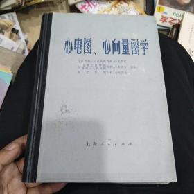 心电图 心向量图学