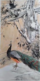 花鸟画孔雀，清华美院秦少圃助教，山东省美协赵建龙老师，花鸟画，素语，古树，孔雀，写意画法，山东省美协会员赵建龙老师真人真迹纯手绘作品，本人承诺假一赔万，终身保真，支持第三方鉴定，带老师合影。老师的花鸟刻画非常漂亮，笔墨浓淡干湿焦，画的很灵动，惟妙惟肖，写意画看整个构图。尺寸：1.4米×70公分，四尺整张的，家里客厅，卧室，茶室，办公室，书房都可悬挂，很有味道的一副画。