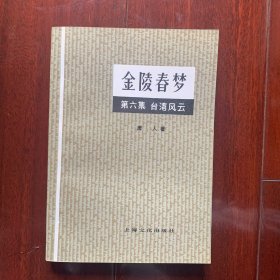 金陵春梦 第六册