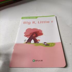 斑马AI课   big  r  little  r