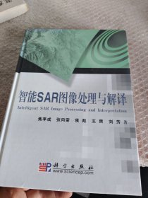 智能SAR图像处理与解译