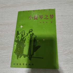 小提琴之梦