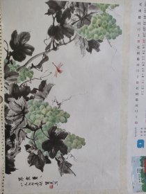 1977年挂历画单片（果实累累）1977年秋质夫写53㐅38cm。