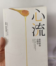心流：最优体验心理学【新疆西藏不包邮】