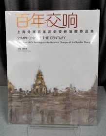 百年交响上海外滩历史变迁油画作品集