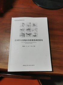 贵州黔东南地区苗族聚落调查研究