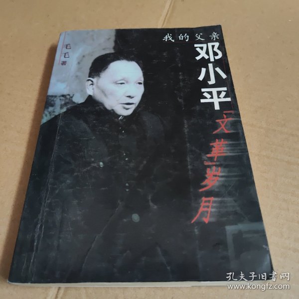 我的父亲邓小平：文革岁月