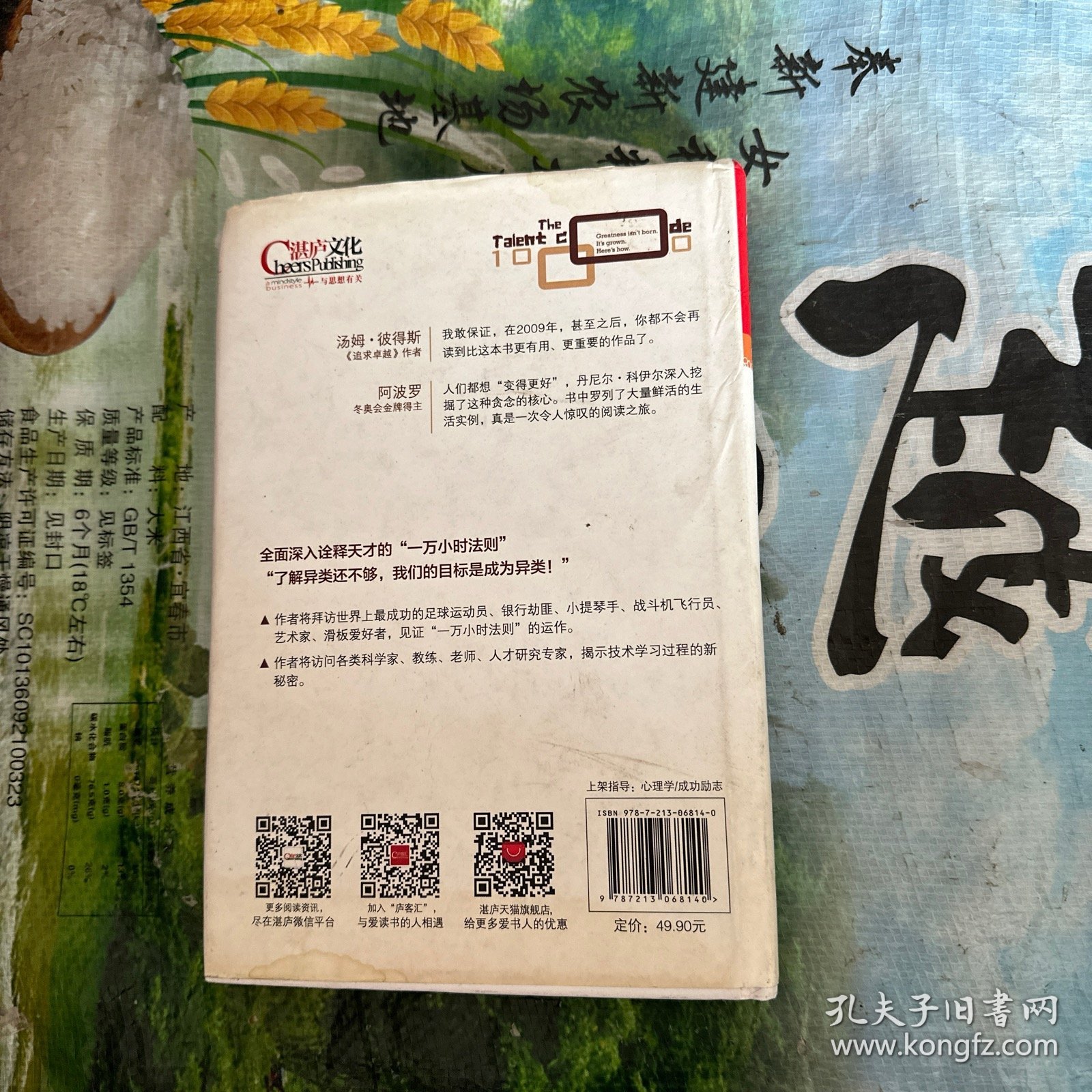 一万小时天才理论