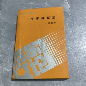 文学的反思