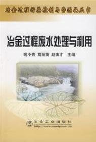 冶金过程废水处理与利用 冶金过程污染控制与资源化丛书
