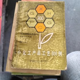 小化工产品工艺300例