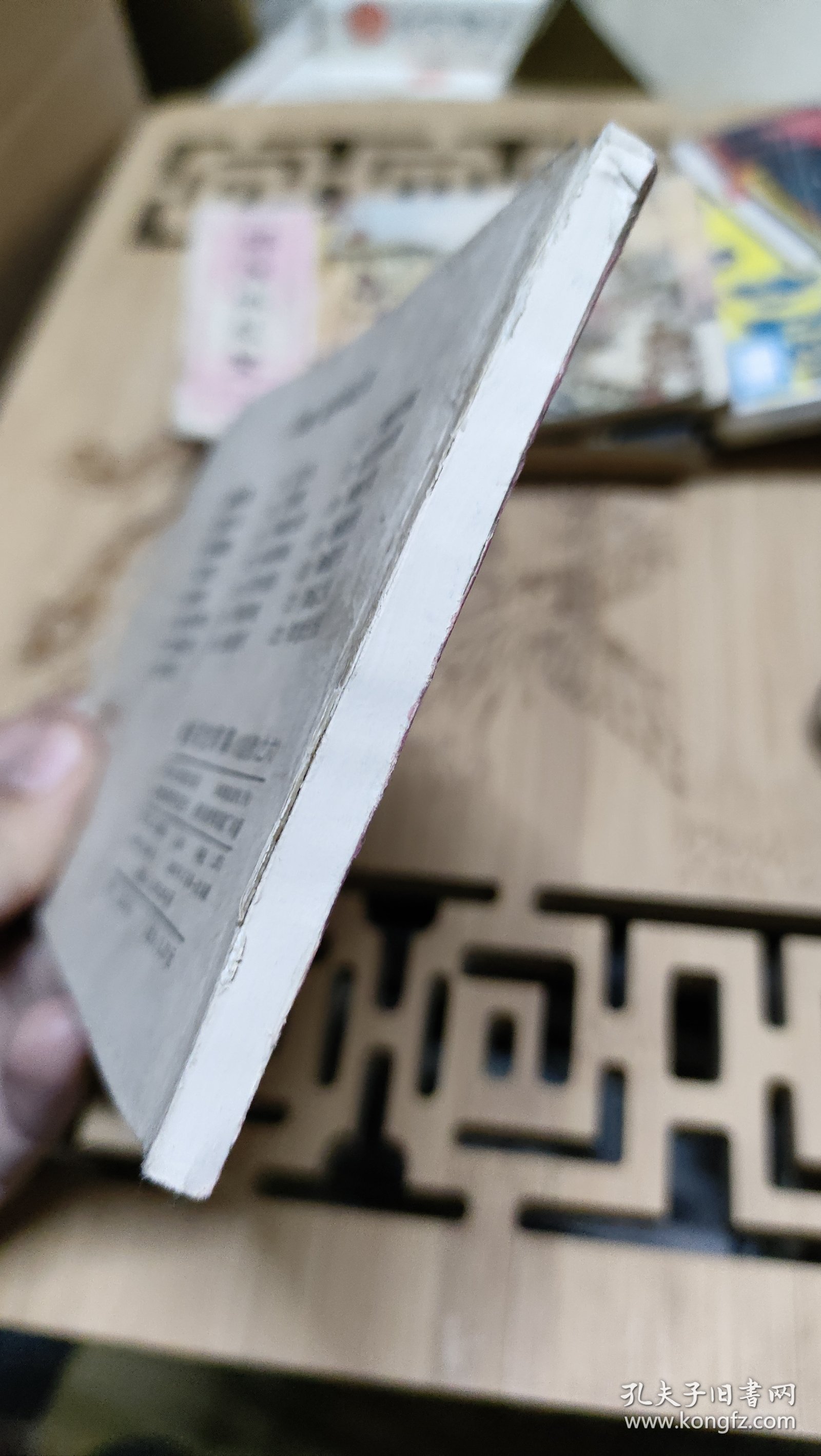 连环画：借兵沱罗寨