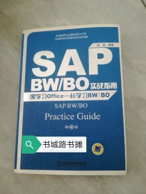 SAP BW/BO实战指南：像学习Office一样学习BW/BO