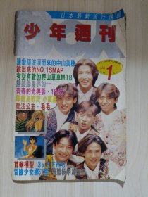 少年周刑（1991年 No.1）