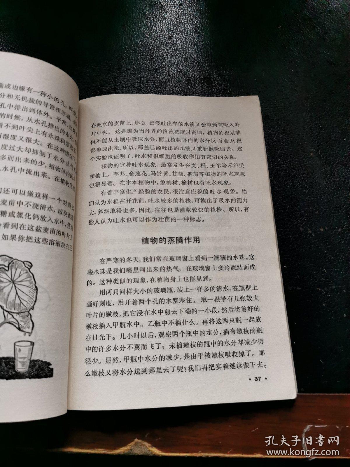 科学小实验 植物1（正版现货，内容页无字迹划线）