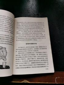 科学小实验 植物1（正版现货，内容页无字迹划线）