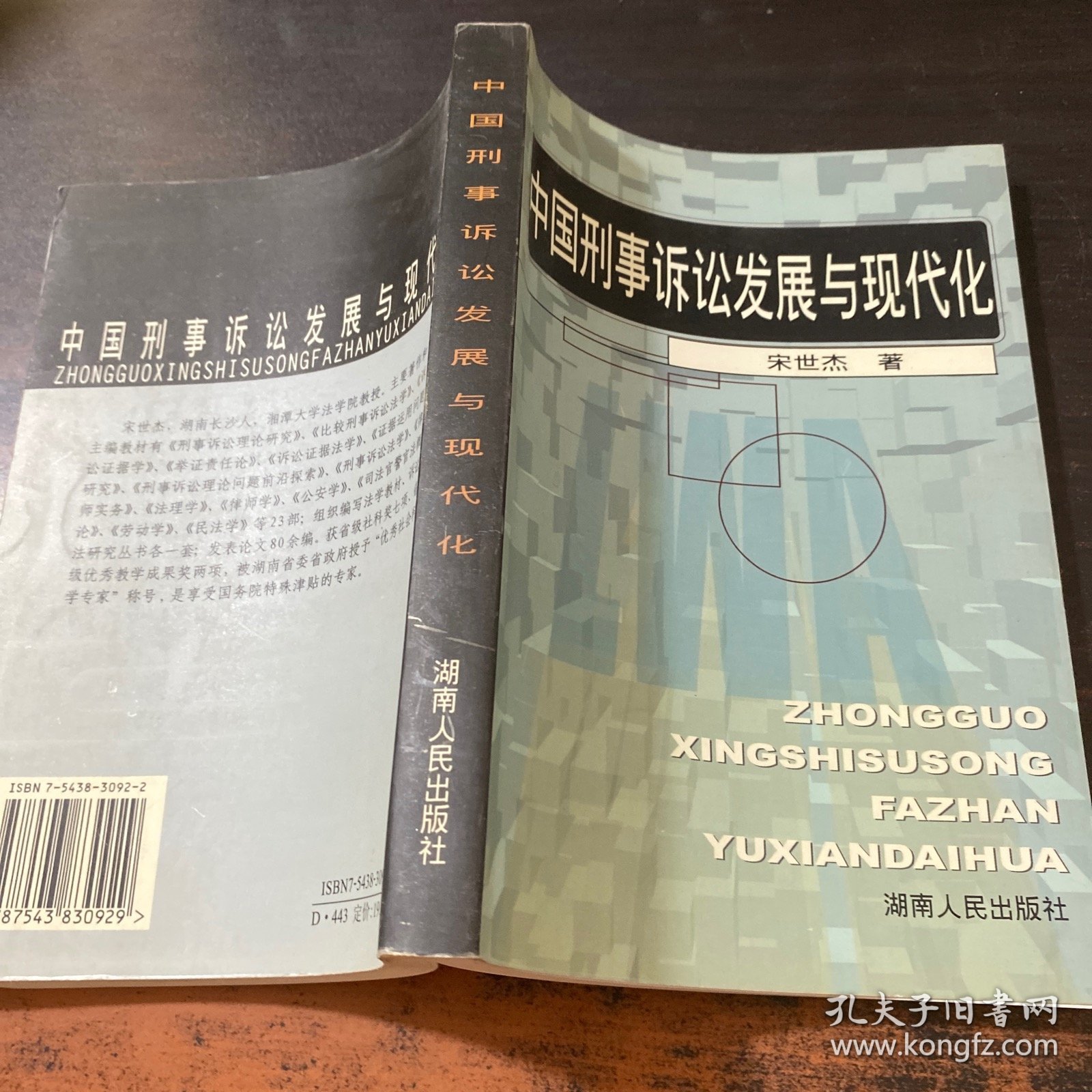 中国刑事诉讼发展与现代化