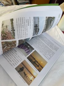 图说“一稻三虾”高效绿种养 养殖 张家宏