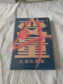 变量4：大国的腾挪