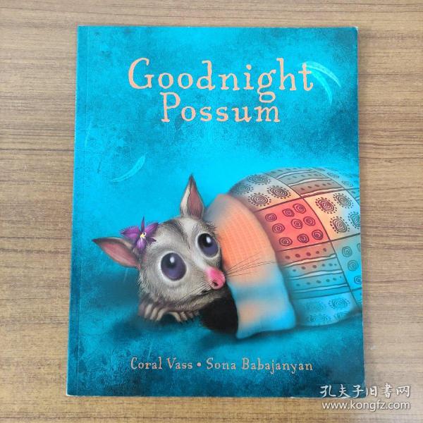 英文原版 Goodnight possum