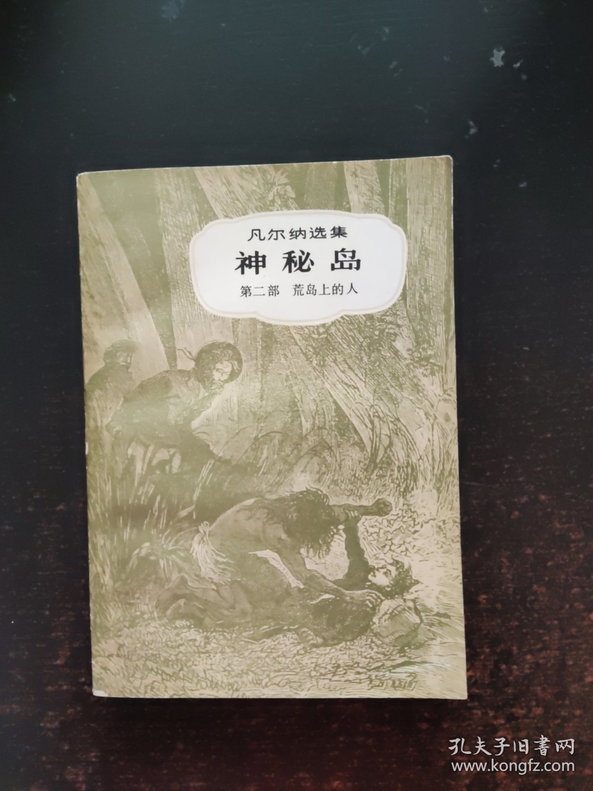 神秘岛 第二部 荒岛上的人