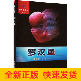 羅漢魚