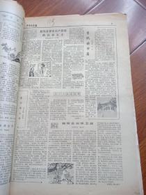 少年文史报上半年（1984年1月2日第127号至6月28日178号，其中160号为两份。缺133号、171号、172号、173号。）