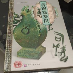 天下收藏：青铜器鉴识