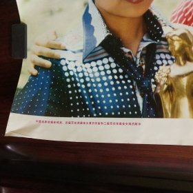 1982年年画张瑜与陈冲合影