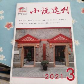 小说选刊2021年3期