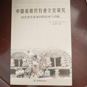 中国近现代行业文化研究：技艺和专业知识的传承与功能