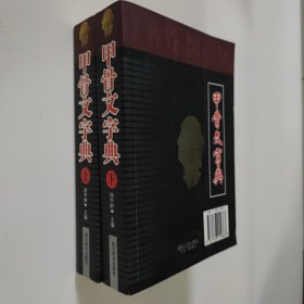 甲骨文字典 上下册 手写体影印本 大32开 平装本