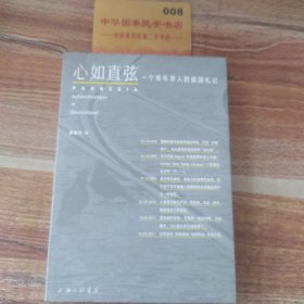 心如直弦：一个青年学人的德国札记