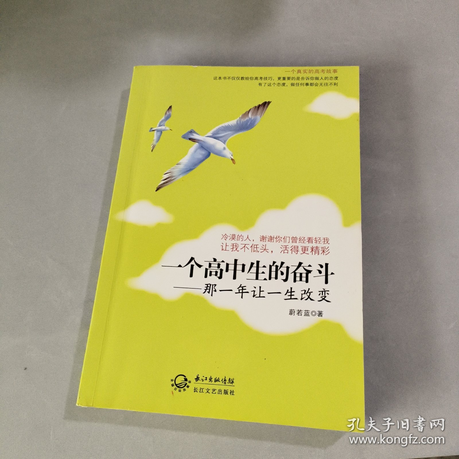 一个高中生的奋斗：那一年让一生改变