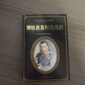 钢铁是怎样炼成的