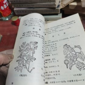 草药针灸治兽病