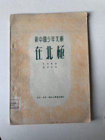 在北极