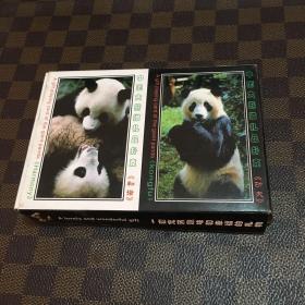 中国大熊猫礼品扑克