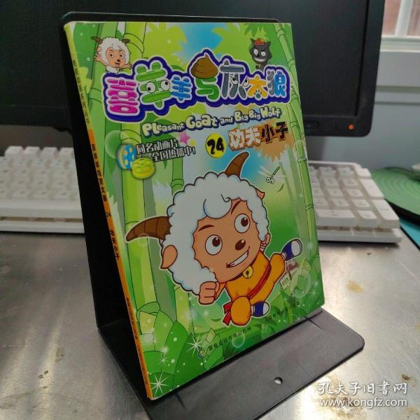 喜羊羊与灰太狼24:功夫小子