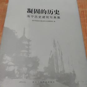 凝固的历史：海宁历史建筑写真集，精装2公斤