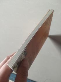 KEMILAU KEMUNING SENJA 印尼语版小说 近全新