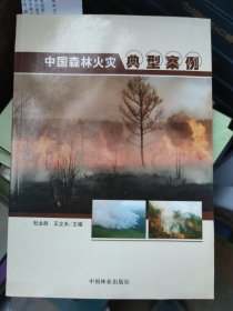 中国森林火灾典型案例