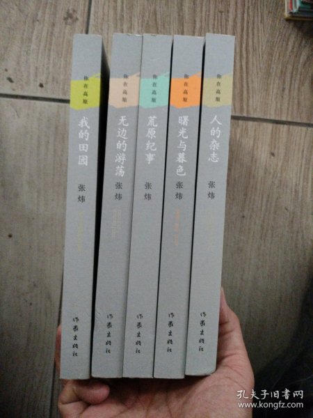 你在高原系列：我的田园、曙光与暮色、荒原纪事、无边的游荡、人的杂志，共5册合售，近全新