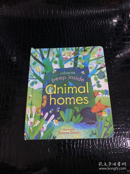 Peep Inside Animal Homes  Board book