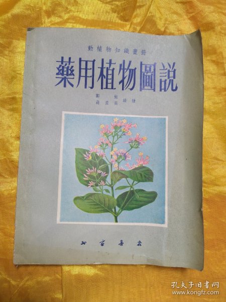 动植物知识画册   药用植物图说