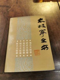 太极拳术书