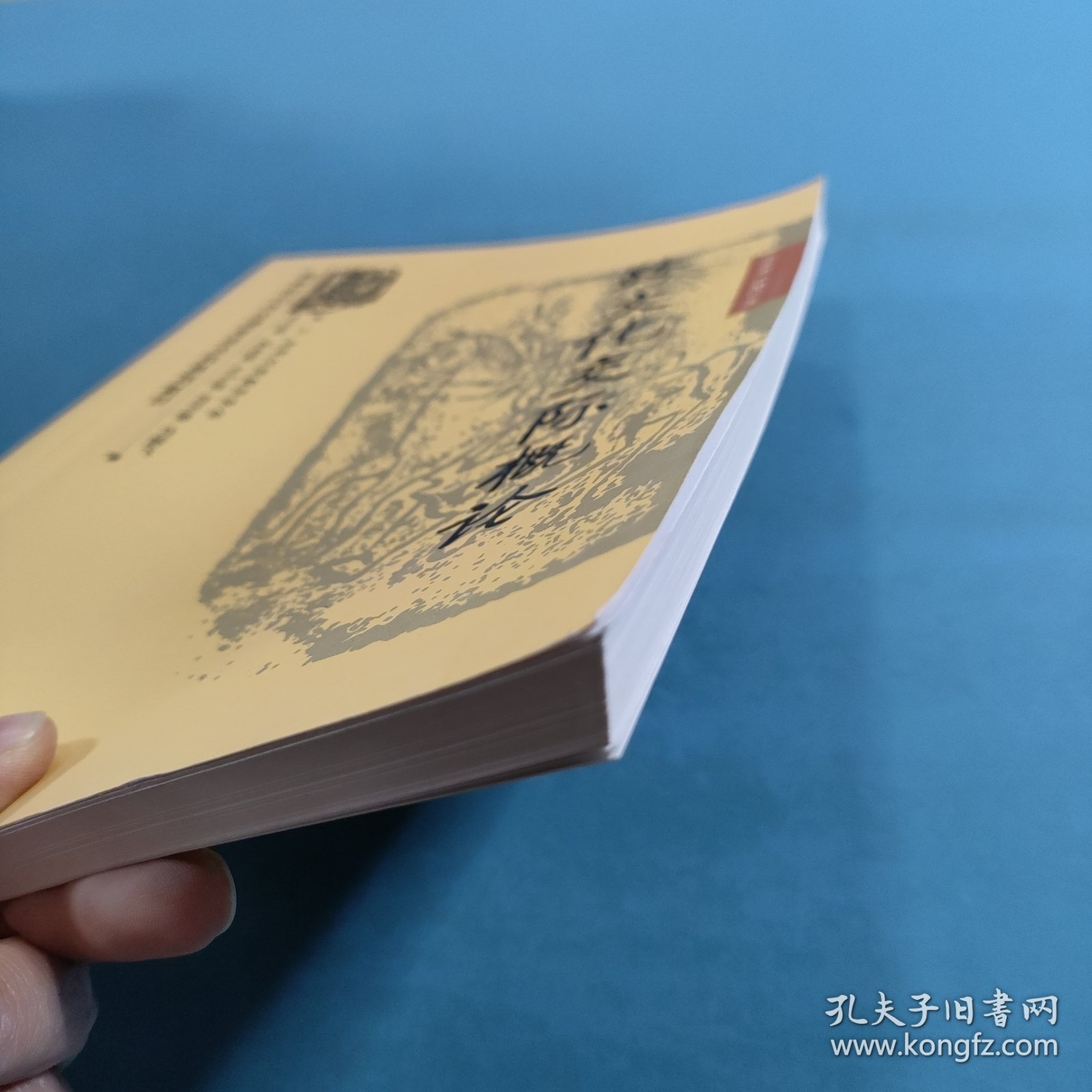 商务馆对外汉语专业本科系列教材：跨文化交际概论