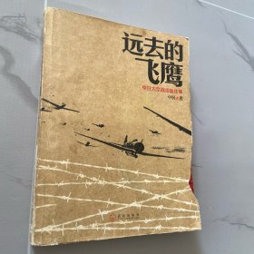 远去的飞鹰：中日大空战浴血往事