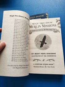 Haunted Castle on Hallows Eve、A good night for ghosts【共两本合售，书内干净】