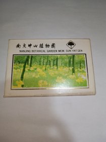 南京中山植物园【8张】明信片